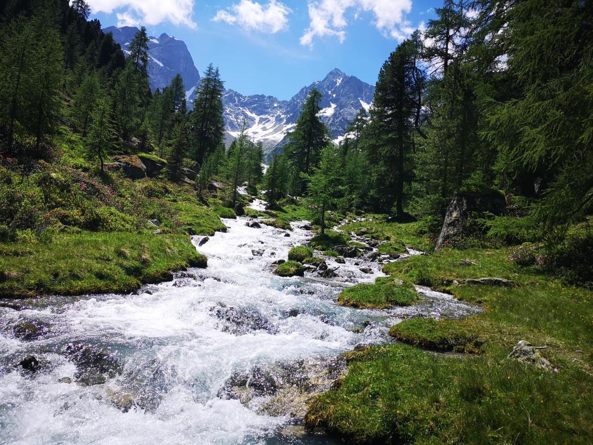 Hotel Pension Siggi Sankt Leonhard im Pitztal Ngoại thất bức ảnh